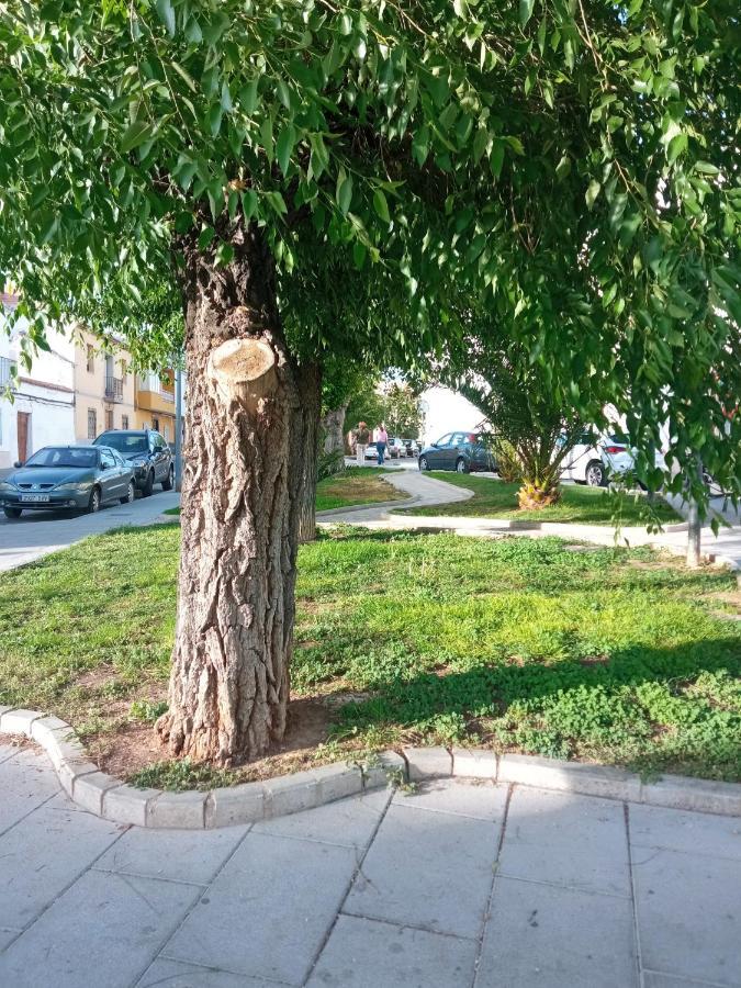 Apartamento San Miguel Baena Zewnętrze zdjęcie